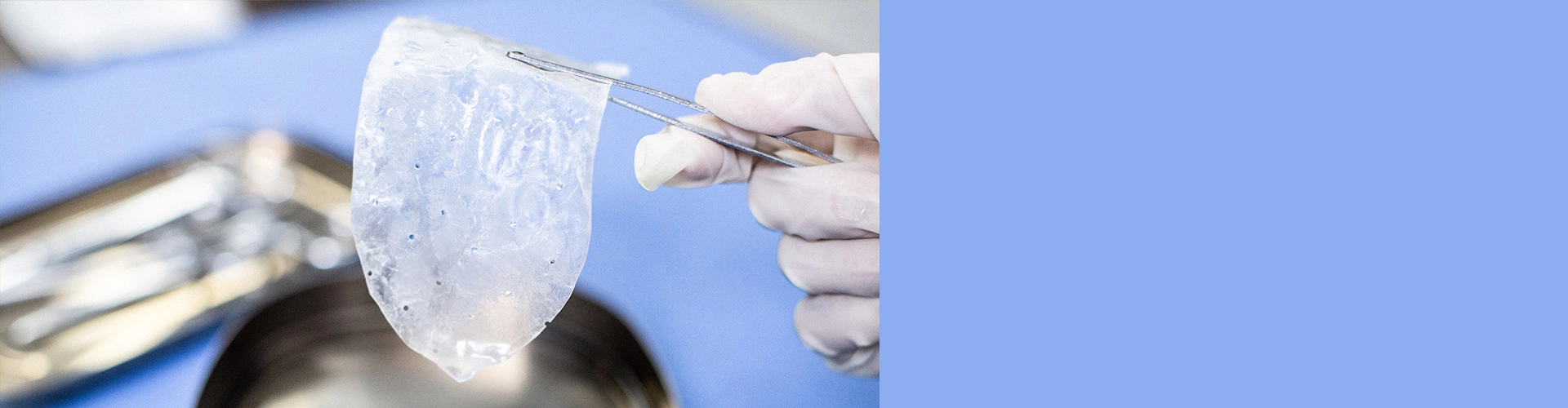 FAQs für biologische Produkte