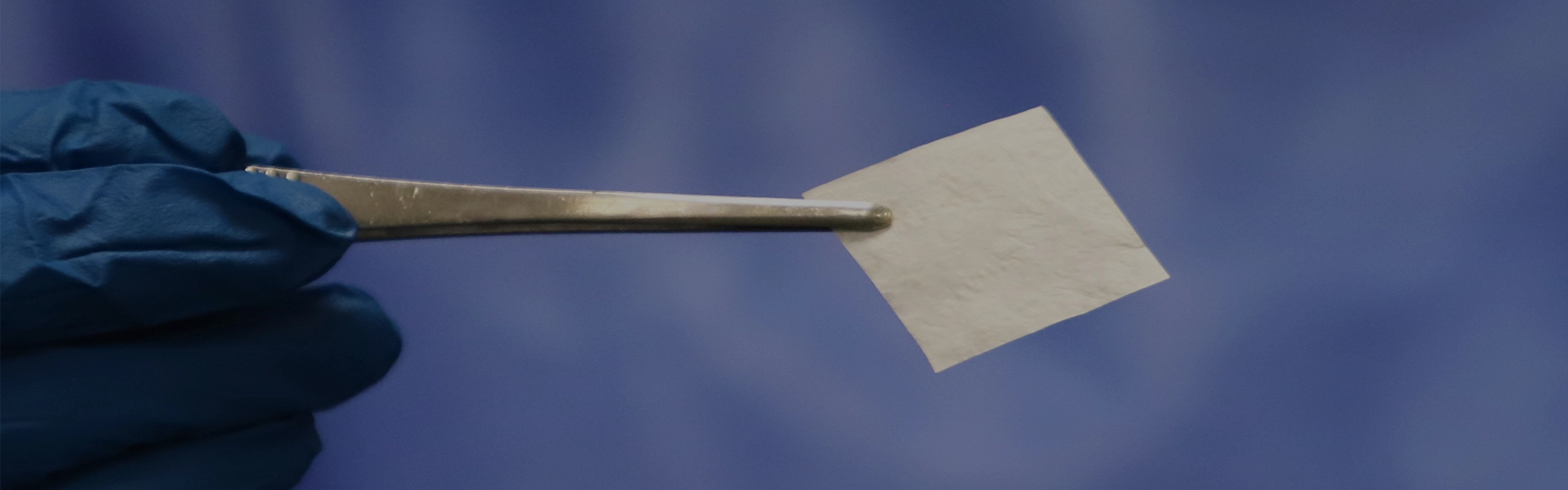 Biose-Heilung patente