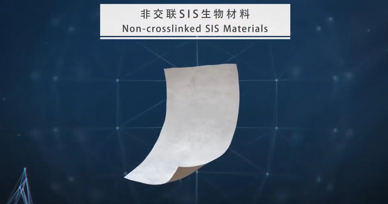 SIS Bio resorbable Mesh